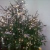 Advent na zemědělce - 6. třída
